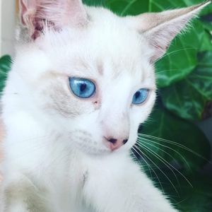 Meet your Posher, Jack